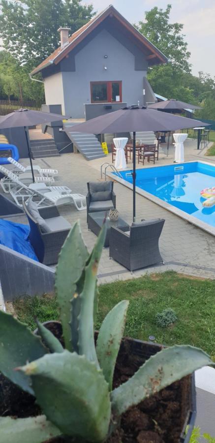Kuca Za Odmor Mladen I Martina Villa Slavonski Brod Exterior photo